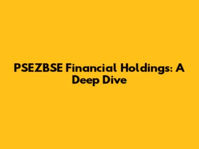 PSEZBSE Financial Holdings: A Deep Dive